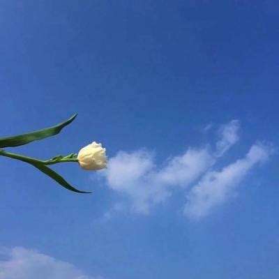 outwitters最新版